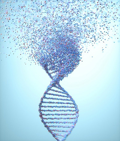 遺伝子イメージ