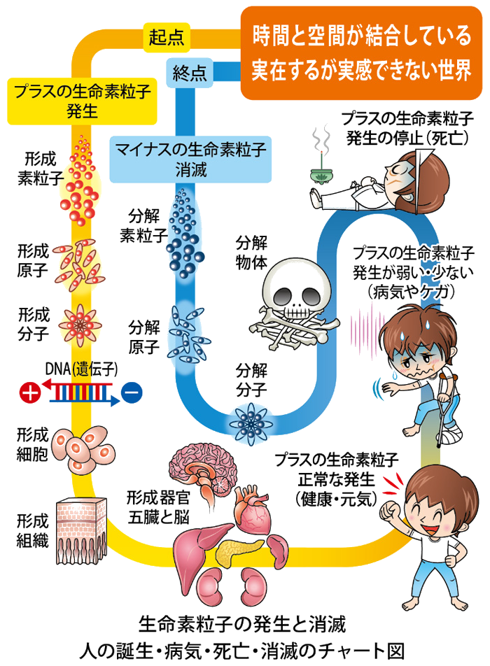 生命素粒子の発生と消滅　人の誕生・病気・死亡・消滅のチャート図